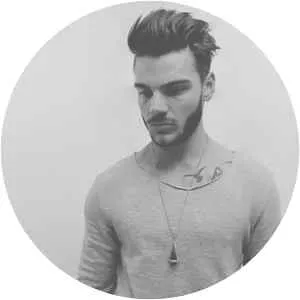 Eagles and Butterflies