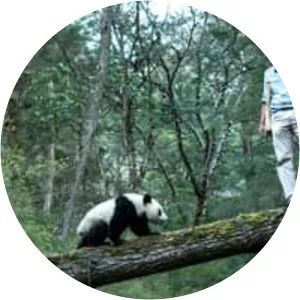 Earth: A New Wild - TV program