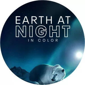 Earth At Night In Color photograph