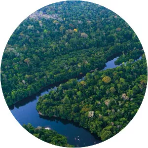 Earth's Great Rivers