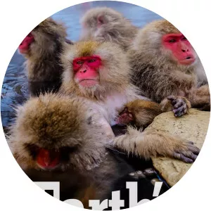 Earth's Great SeasonsSince 2017