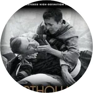 Earthquake in Chile photograph