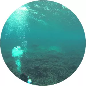 East Australian Current - Current in Australia