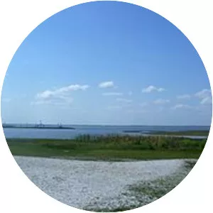 East Lake Tohopekaliga - 