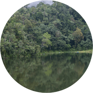 East Manggarai Regency