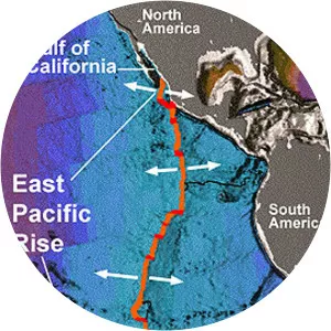 East Pacific Rise