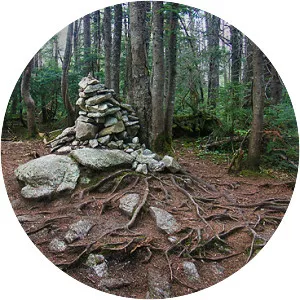 East Peak Mount Osceola - Summit in New Hampshire
