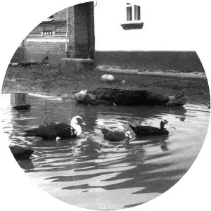 East Prigorodny Conflict