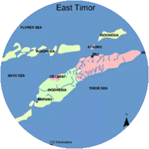 East Timor genocide