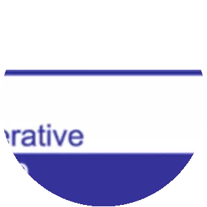 Eastern Cooperative Oncology Group