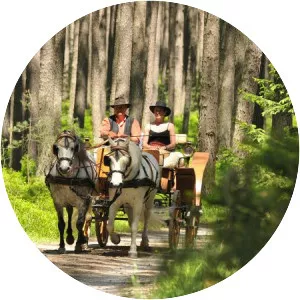 Eastern Ore Mountains - 