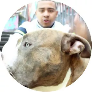 Eazyono - Musical artist