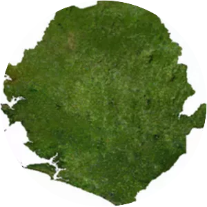 Ebola virus epidemic in Sierra Leone - 