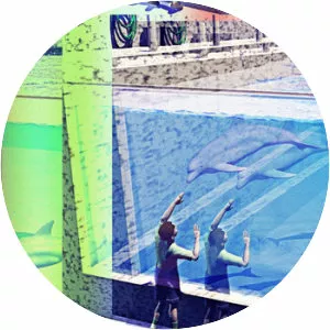 eccodroid - Musical artist