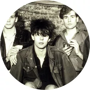 Echo and the Bunnymen - Rock band