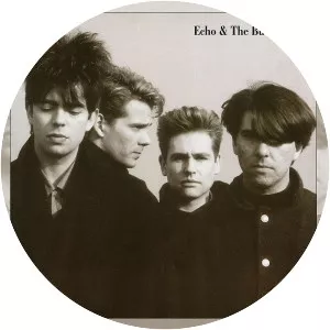 Echo and the Bunnymen