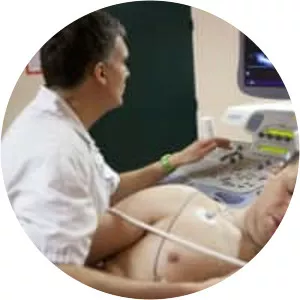 Echocardiography