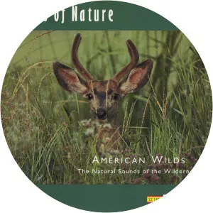 ocean sounds echoes of nature