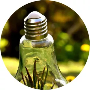 Eco-Trip: The Real Cost of LivingSince 2009