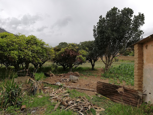 Ecohotel Terrabela - Hotel