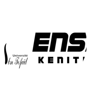 École nationale des sciences appliquées de Kénitra