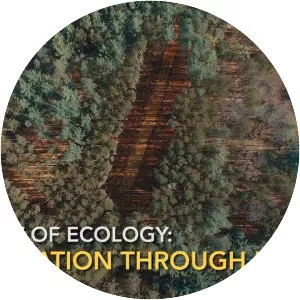 Ecological art photograph