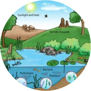 serial tv drama ecosystem - Band