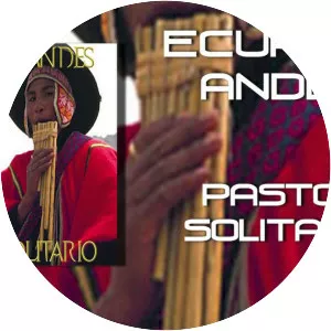 Ecuador Andes - Musical artist