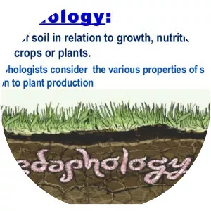 Edaphology - Field of study