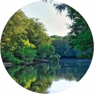 Edisto River - River in South Carolina