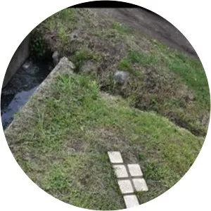 Edit Mozes - Jaffa Mozes' daughter