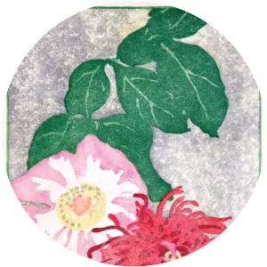 Edna Boies Hopkins - Artist