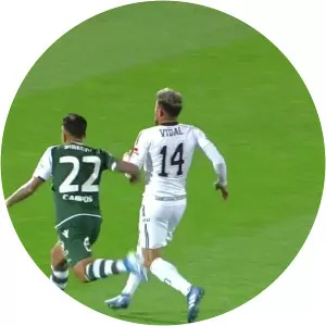 Eduardo Andrés Vidal Latorre