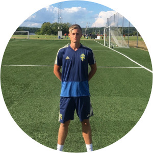 Edvin Mattias Tellgren