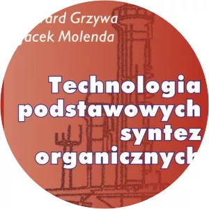 Edward Grzywa - Politician