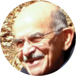 Edward Khantzian - Professor