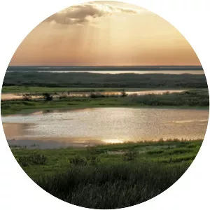 Edwin B. Forsythe National Wildlife Refuge - Wildlife refuge in New Jersey