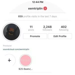 EEM Triplin - Musical artist