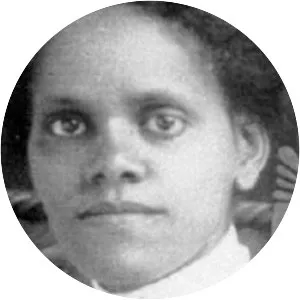 Effie Lee Newsome - Writer