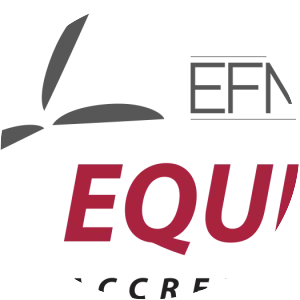 EFMD Quality Improvement System - 