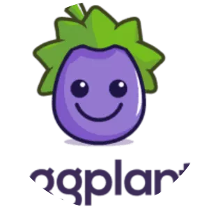 Eggplant Functional - Software
