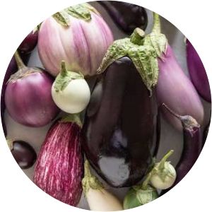 Eggplant