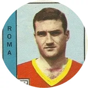 Egidio Guarnacci - Italian footballer