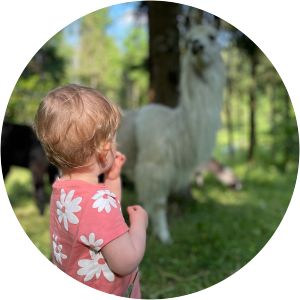 église de la nativité-de-notre-dame de montfaucon la ferme aux lamas du doubs
