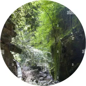 église de morgins fondation des vieux moulins de la tine