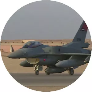 Egyptian Air Force - Armed force