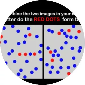 Eidetic memory photograph