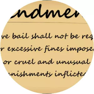 Eighth Amendment to the United States Constitution