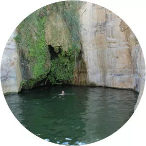 Ein Akev - Spring in Israel