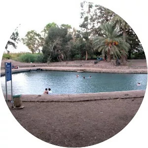 Ein Moda - Spring in Israel